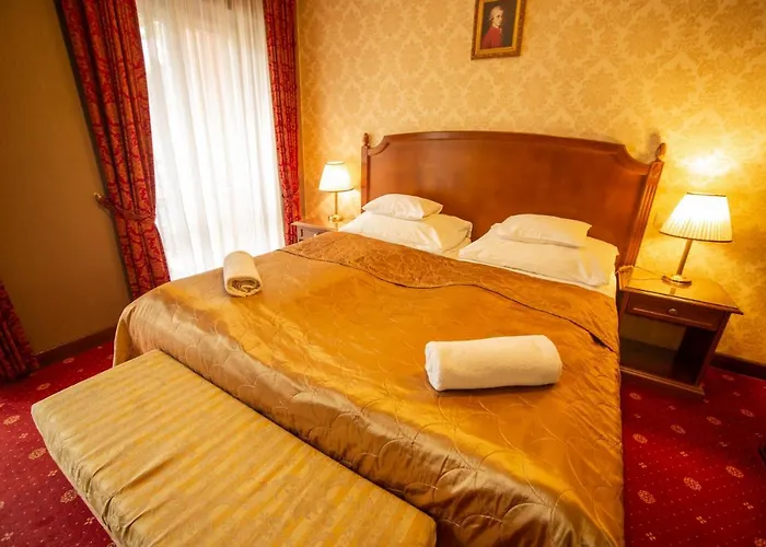 酒店 莫扎特酒店 塞格德