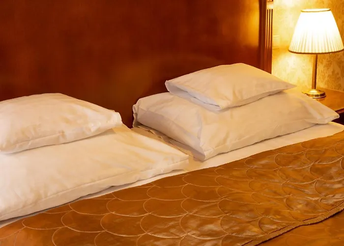 모차르트 호텔 세게드