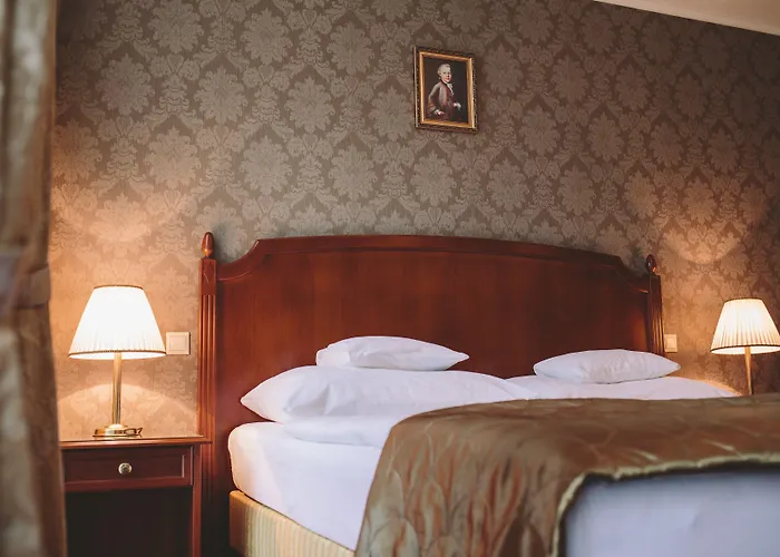 모차르트 세게드